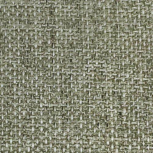 CEREUS col. 800