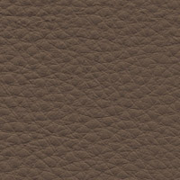 Cacao 6K13
