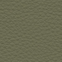 Verde Bosco 6K35