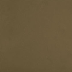 Terra 1239